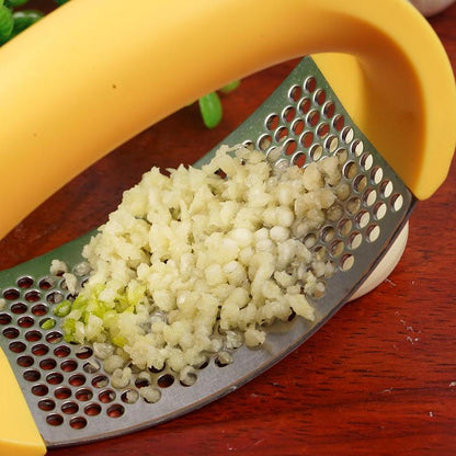 Stainless Steel Garlic Masher Tool